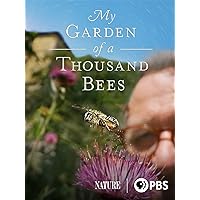 My Garden of a Thousand Bees