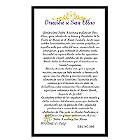 San Elias del Monte Carmelo Baron del Cementerio Tarjeta de Oracion Plastificada