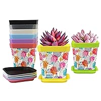 Easter Nursery Pots Planters Plant Pots with Pallet 8-Pack Gardening Containers Flower Pots