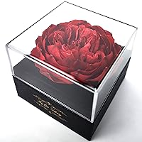 Kylin Glory Fresh Cut Flower Preserved Peony for Women Mom Wife Girlfriend - Flower Gift Real Peony Decor for Mother's Day Valentine's Day Wedding Party Celebration Birthday Anniversary (Dark Red)