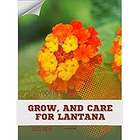 Grow, and Care For Lantana: Become flowers expert Grow, and Care For Lantana: Become flowers expert Kindle Paperback