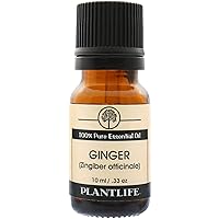 Plantlife Ginger Aromatherapy Essential Oil - Straight from The Plant 100% Pure Therapeutic Grade - No Additives or Fillers - 10 ml