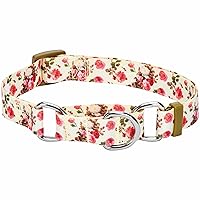 Blueberry Pet Spring Scent Inspired Rose Print Martingale Safety Training Dog Collar, Ivory, Large, Heavy Duty Adjustable Collars for Dogs
