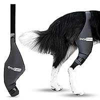 Ortocanis Dog Knee Brace for Torn Acl Hind Leg, Cruciate Ligament Injuries, Patella Dislocation or Osteoarthritis - Dog Acl Knee Brace - Dog Braces for Back Leg for Support (Medium, Left Leg)