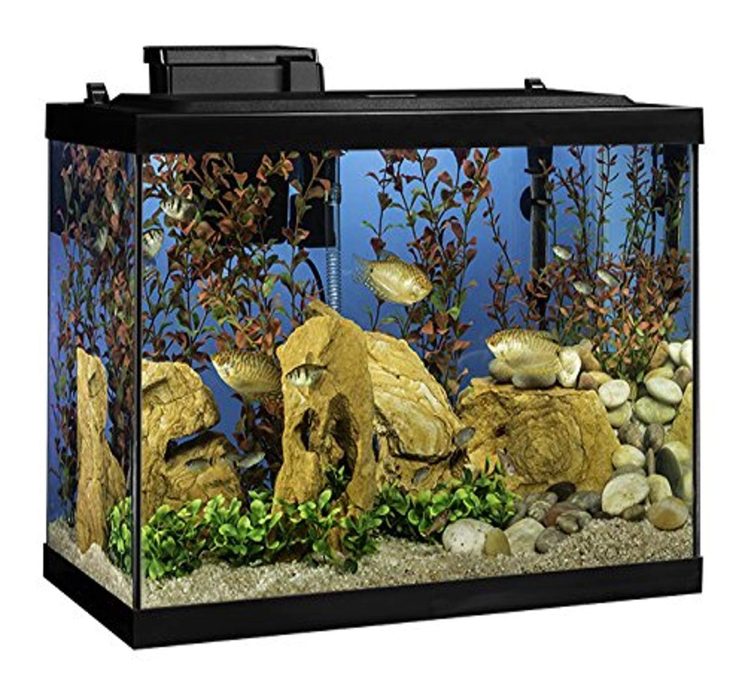 Mua Tetra Aquarium 20 Gallon Fish Tank Kit, Includes LED Lighting ...