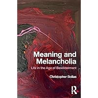 Meaning and Melancholia Meaning and Melancholia Paperback Kindle Hardcover