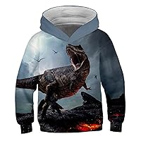 Unisex Comfy 3D Digital Print Sweatshirts,Jurassic Dinosaur Hoodies Pullover for Boys Girls