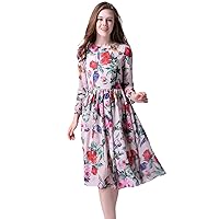 2017 Spring Summer Fashion Print Chiffon Mesh Long Sleeves O-Neck Elegant Cultivate Large Swing Women Long Dress