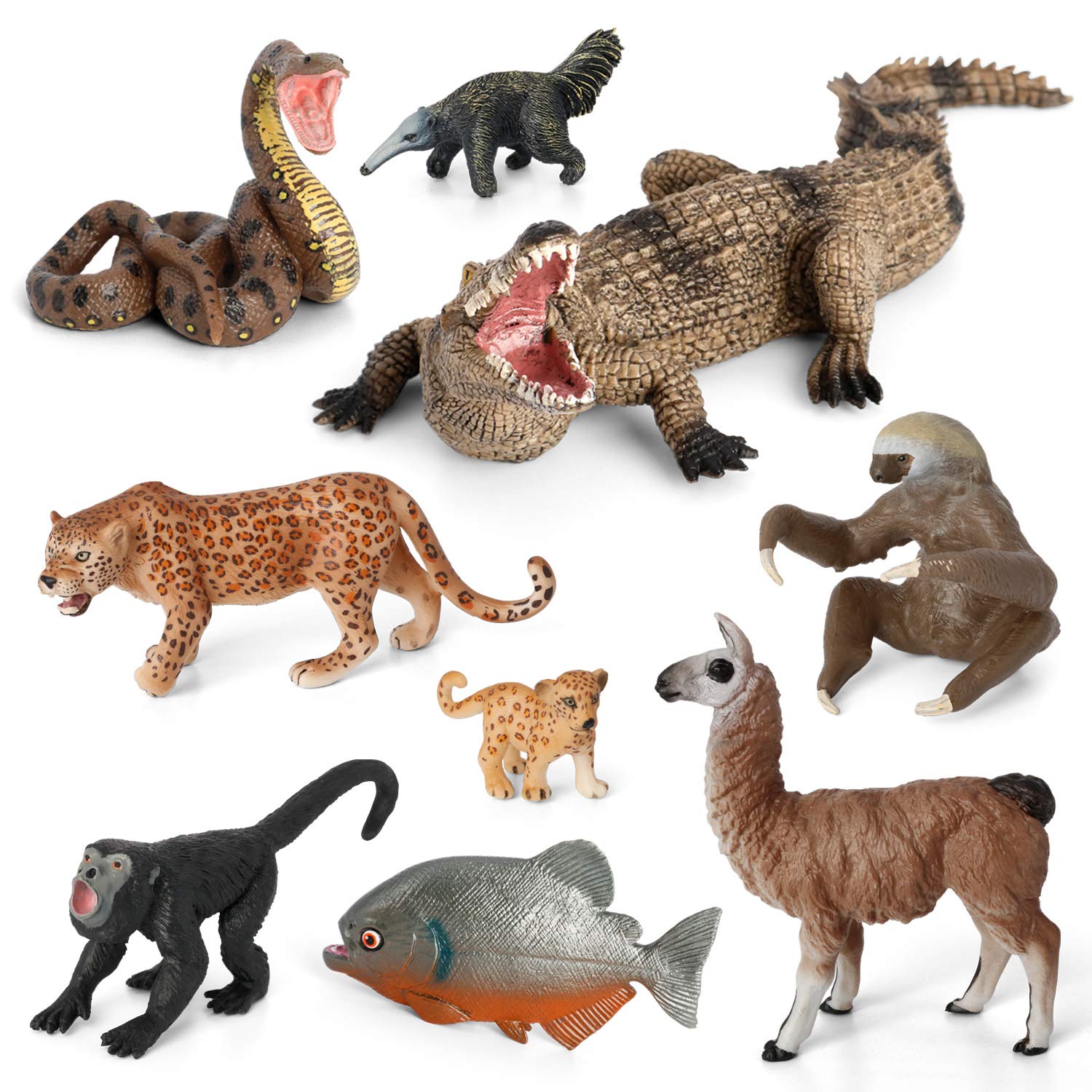 Mua Volnau Animal Figurines Toys 9PCS South America Figures Zoo Pack for  toddlers Kids Preschool Educational Rainforest Jungle Forest Decorations  Animals Sets trên Amazon Anh chính hãng 2023 | Giaonhan247