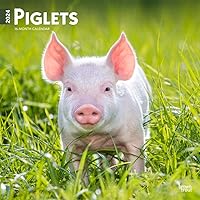 Piglets | 2024 12 x 24 Inch Monthly Square Wall Calendar | BrownTrout | Domestic Pet Baby Farm Animals