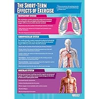 Daydream Education The Short-Term Effects of Exercise | PE Posters | Laminated Gloss Paper measuring 33” x 23.5” | Physical Education Charts for the Classroom | Education Charts