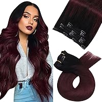 Moresoo Burgundy Clip in Hair Extensions Real Human Hair Ombre Black to Burgundy Double Weft Clip in Human Hair Extensions Balayage Black to Red Wine Hair Extensions Clip in Human Hair 5pcs/70g 10in