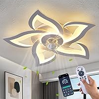 Flush Mount Ceiling Fan with Lights, 24
