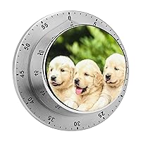 Kitchen Timer Labrador Magnetic Countdown Clock for Cooking Teaching Studying