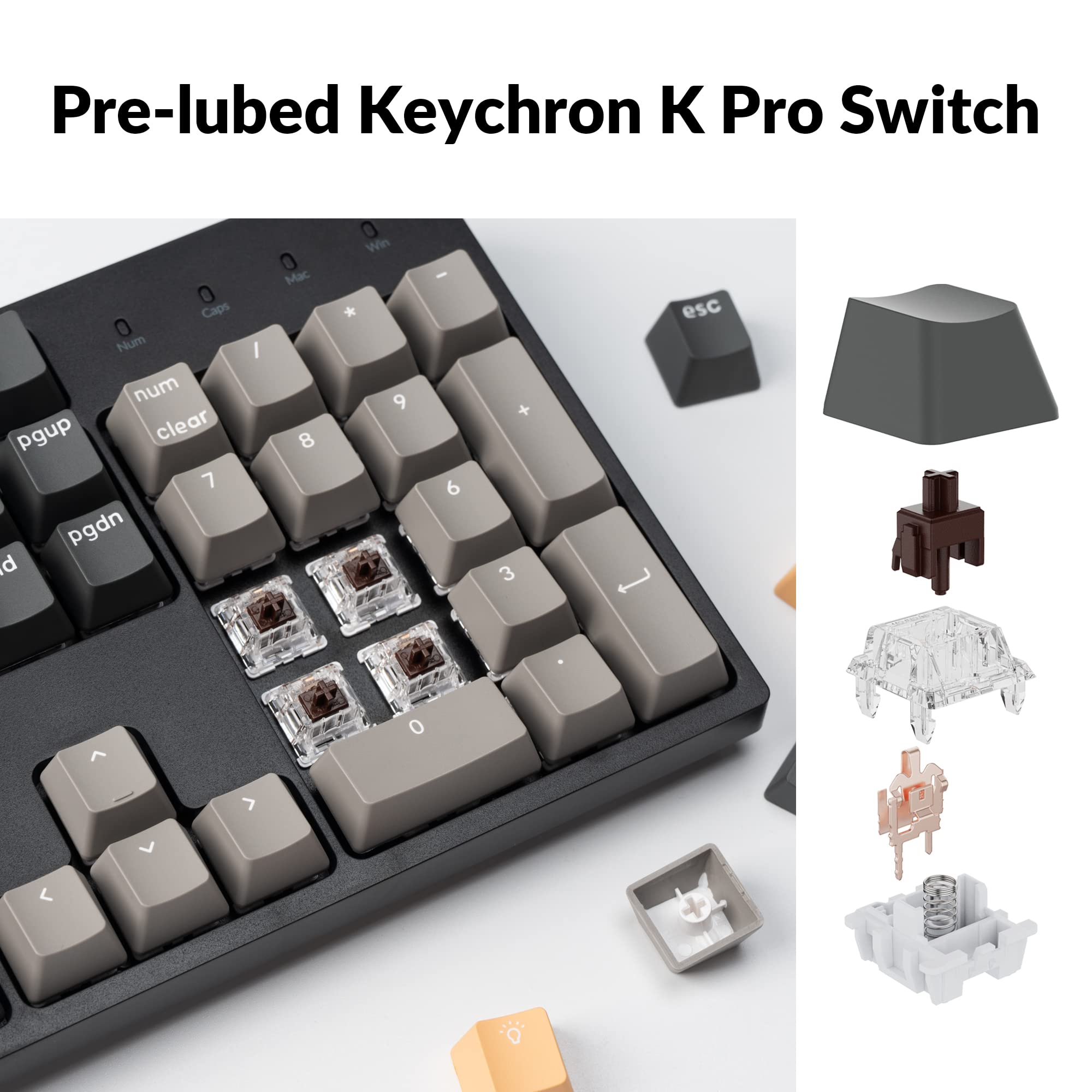Keychron C2 Pro Wired QMK/VIA Mechanical Keyboard Full Size Layout Custom Programmable Macro RGB Backlit with Keychron K Pro Brown Switch OEM Profile Double-Shot PBT Keycaps for Mac Windows Linux