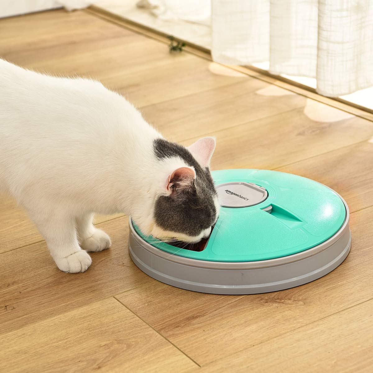 Amazon Basics Automatic Electronic Timed Pet Feeder - 6 Portions, Plastic, Teal