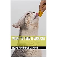 What to Feed a Sick Cat (Cat Care)