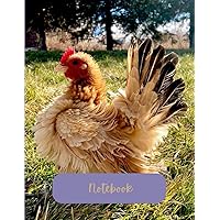 Frizzle Serama Chicken Notebook