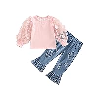 Toddler Girl Clothes Toddler Girl Fall Outfits Flower Mesh Puff Sleeve Tops + Denim Jeans 2PCS Winter Clothes