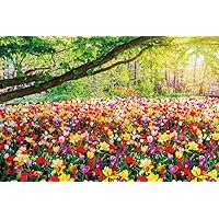 8x5ft Spring Blooming Floral Backdrop Colorful Plant Flowers National Park Photography Background Rustic Nature Scenery Backgrounds for Kids Birthday Party Decor Wedding Photo Booth Props