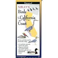 Sibley's Birds of the California Coast (Foldingguides)