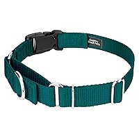 Country Brook Petz Heavy Duty Nylon Adjustable Martingale Dog Collar with Deluxe Buckle for Small Medium Large Breeds - 30+ Vibrant Color Options (1 Inch, Extra Large, Teal)
