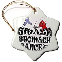 3dRose Blonde Designs Smash The Causes - Smash Stomach Cancer - Ornaments (orn-196046-1)