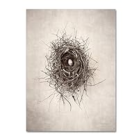 Nest I by Debra Van Swearingen, 24x32-Inch Canvas Wall Art