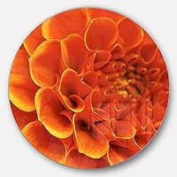 Orange Flower and Petals Modern Floral Metal Artwork-Disc of 23 inch, 23'' H x 23'' W x 1'' D 1P