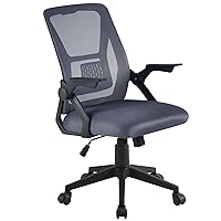 VECELO Mid-Back Swivel Ergonomic Office Chair with Adjustable Arms Mesh Lumbar Support for Computer Task Work, Gray