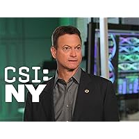 CSI: NY, Season 7