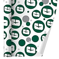 GRAPHICS & MORE UNC Charlotte Primary Logo Gift Wrap Wrapping Paper Roll