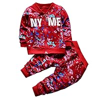 Boys/Girls Zip Front Hoodies Sweatershirts Top with Pants, Tracksuits Sets