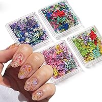 4Box 3D Dried Flowers Nail Art Stickers Colorful Dry Flower for Nails Kit - DIY Mini Mix Flower Petals Nail Stickers Natural Floral Dried Flower Decals for Nails Design Manicure Accessories Craft