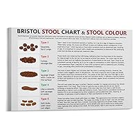 EDUKAT Bristol Stool Chart Diagnosis Constipation Diarrhea Chart Art Poster (4) Canvas Painting Posters And Prints Wall Art Pictures for Living Room Bedroom Decor 12x08inch(30x20cm) Frame-style