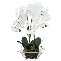 Nearly Natural 4570 Triple Phalaenopsis Orchid in Glass Vase,Green/White