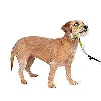 PetSafe Gentle Leader No-Pull Dog Headcollar - The Ultimate Solution to Pulling - Redirects Your Dog's Pulling For Easier Walks - Helps You Regain Control - Small, Apple Green