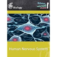 Human Nervous System - School Movie on Biology