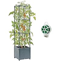 Raised Garden Bed with Tomato Planter Cage, Trellis Planter Boxes for Outdoor Patio Greenhouse Gardening Climbing Vegetables