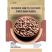 Discover How to Cultivate Pinto Bean Plants: Guide and overview