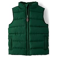 Gymboree Boys' and Toddler Zip Up Puffer Vest