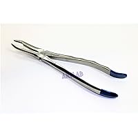 German Root Tip Dental Tooth Extracting Extraction Forceps Forceps #845 Tc Beak Serrated Orthodontic Dental Instruments (Cynamed)