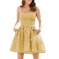 Homecoming Dresses for Teens Short Tulle Juniors Prom Dress with Pockets 2024 R002