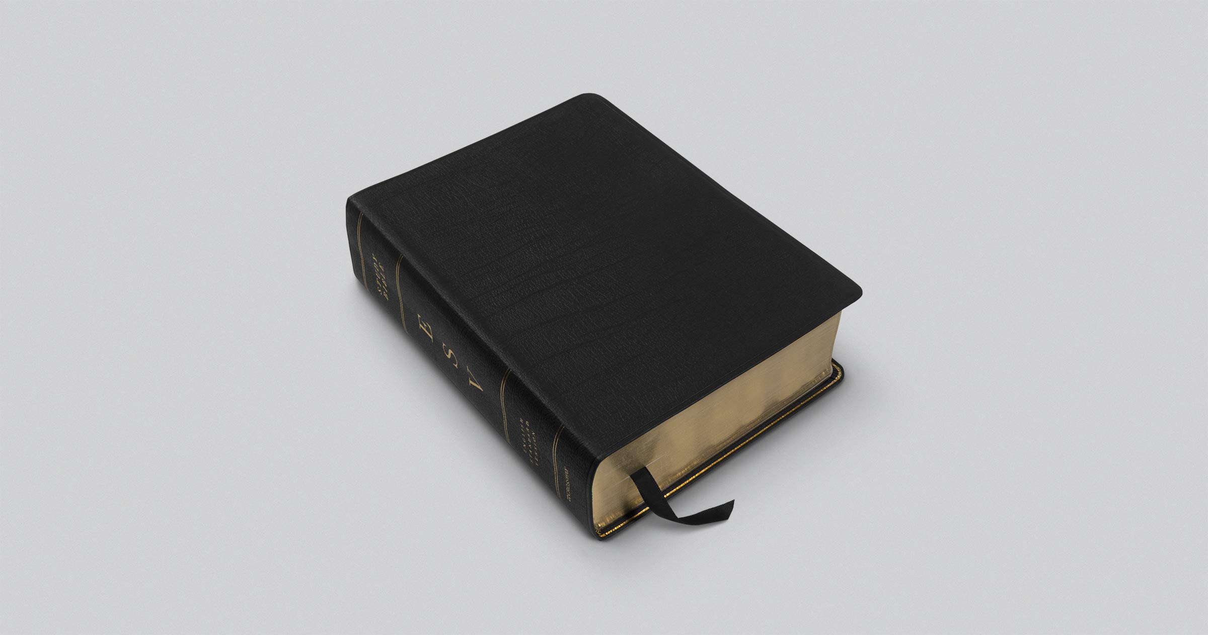 ESV Study Bible, Large Print (Black)