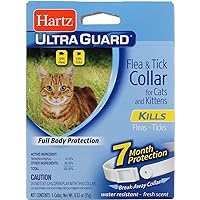 HARTZ UltraGuard Flea & Tick Cat and Kitten Collar, White 1 ea