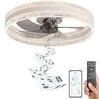 Flush Mount Ceiling Fans with Lights, Enclosed Ceiling Fan with Speaker, Low Profile Ceiling Fans with Remote & APP Control