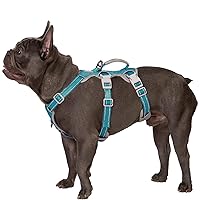 No Escape Dog Harness, Escape Proof Harness, Fully Reflective Harness with Padded Handle, Breathable, Durable, Adjustable Vest for Medium Dogs Walking, Training, and Running Gear (Teal,M)