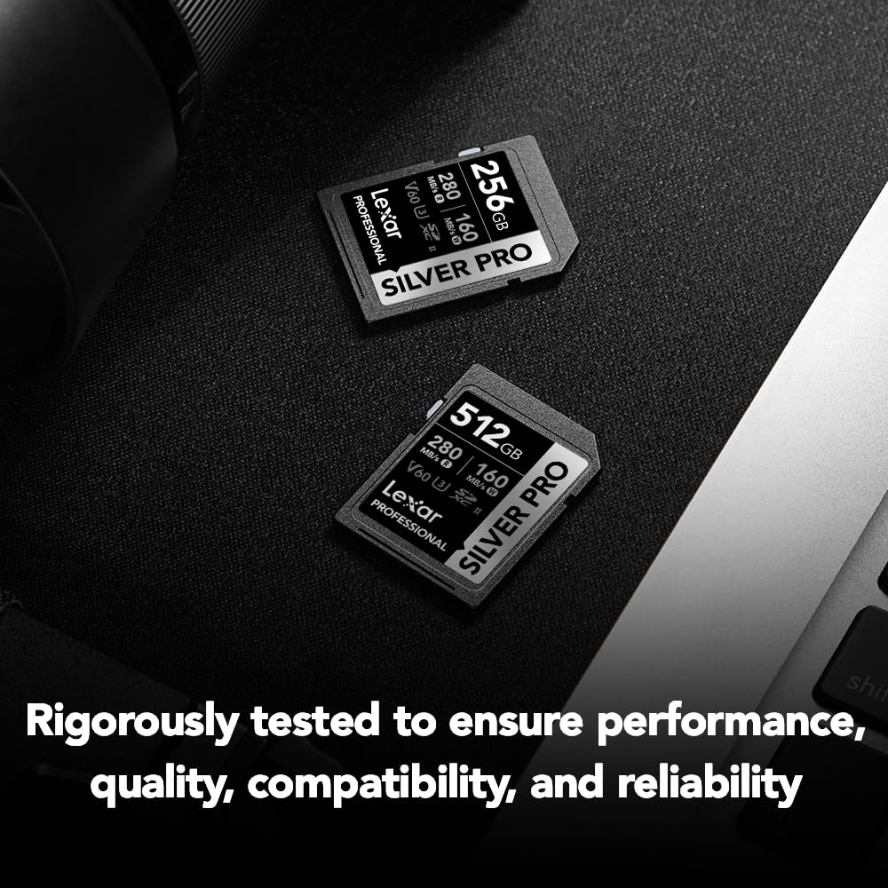 Lexar 1TB Professional Silver PRO SDXC Memory Card, UHS-II, C10, U3, V60, Full-HD & 4K Video, Up to 280MB/s Read, for Professional Photographer, Videographer, Enthusiast (LSDSIPR001T-BNNNG)
