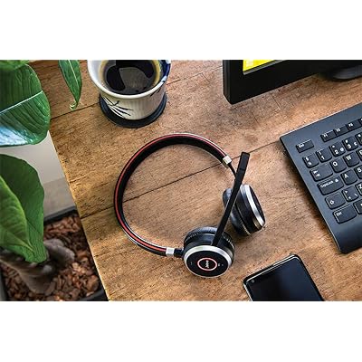 Jabra Evolve 65 Bluetooth Stereo Headset Bundle, MS Version, Two Mic  Cushions, USB Dongle, Charging Stand, Compatible for Skype for Business,  Lync