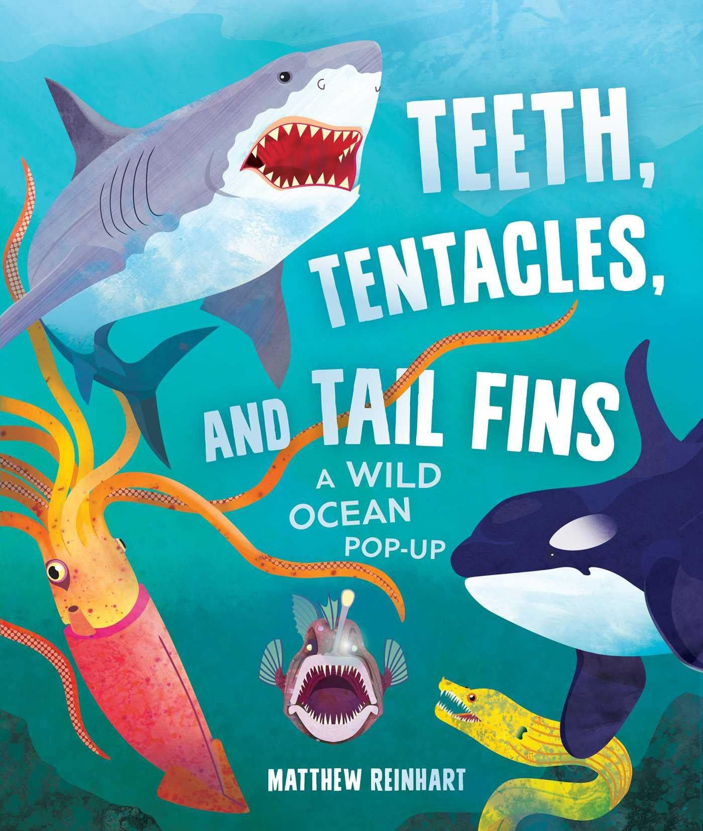 Teeth, Tentacles, and Tail Fins (Reinhart Pop-Up Studio): A Wild Ocean Pop-Up (Reinhart Studios) (Ocean Book for Kids, Shark Book for Kids, Nature Book for Kids)